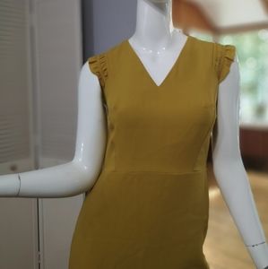 NWT Ann Taylor dress